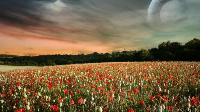 为什么说中国是基建狂魔?